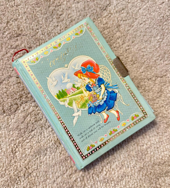 mi diario de páginas azules